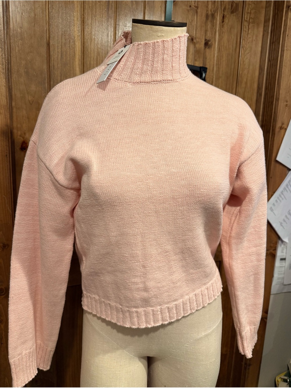Sanctuary Soft Pink Mock Neck Sweater